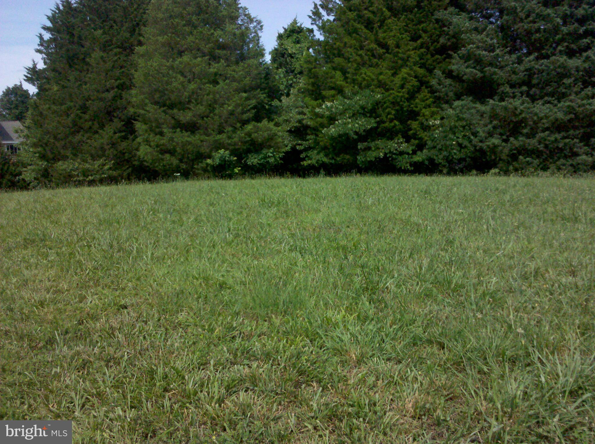 0 Burruss Mill Road Bumpass, VA 23024 - Photo 7 of 20 View