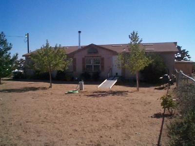 8545 Smoke Tree Road Phelan, CA 92371 - Photo 1 of 1 a view of a dry yard with a house