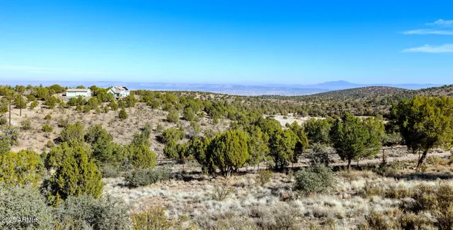 a view of a mountain