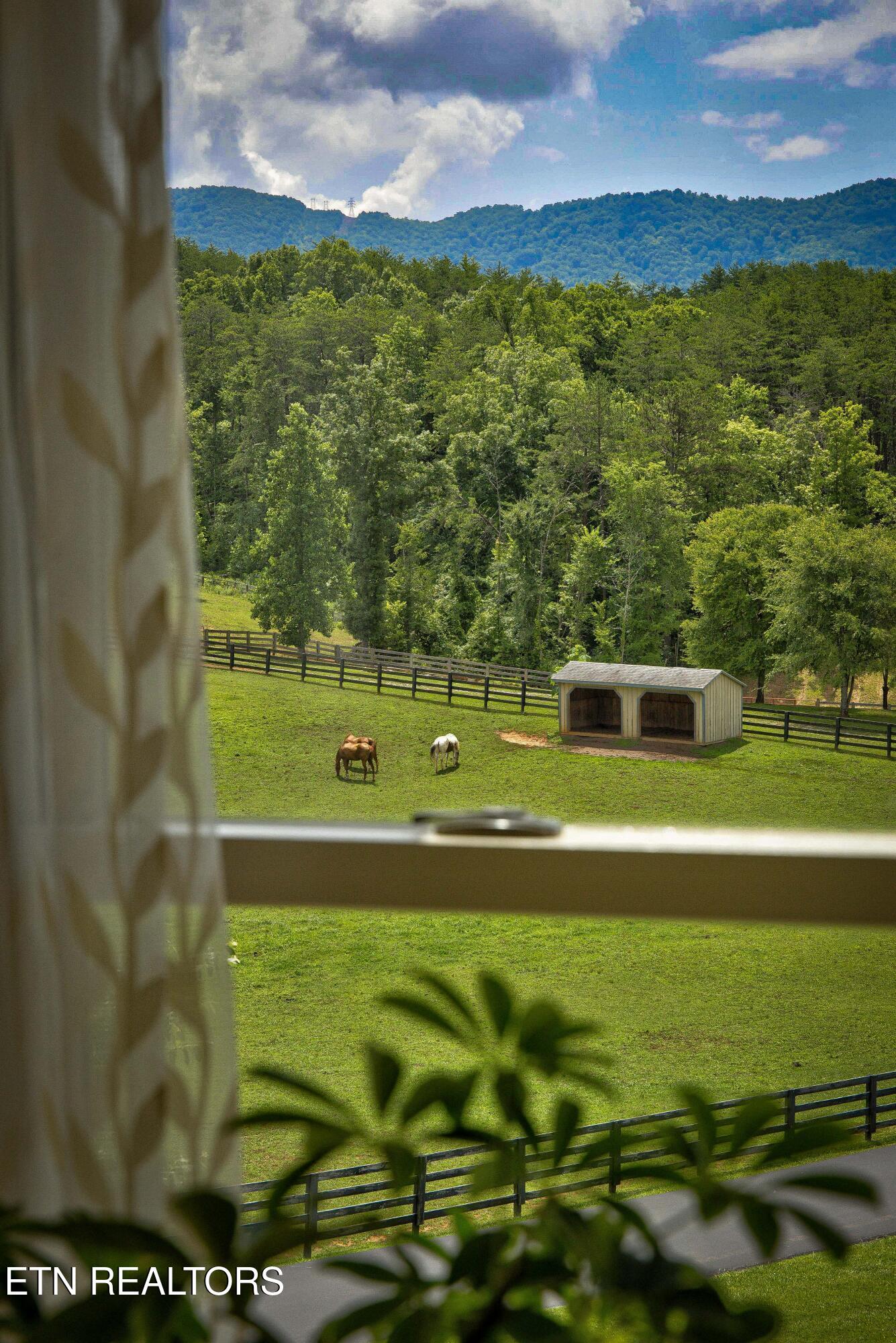 4506 6 Mile Road Maryville, TN 37803 - Photo 42 of 59 L40A8151