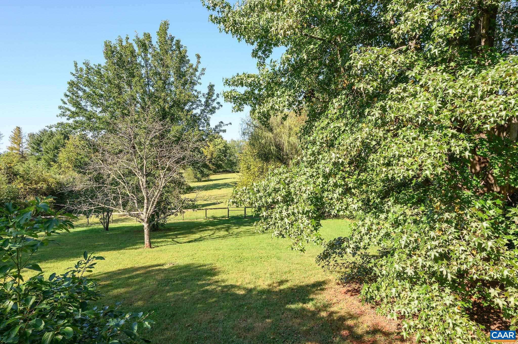 3946 Rock Branch Road North Garden, VA 22959 - Photo 33 of 36 a view of yard with green space