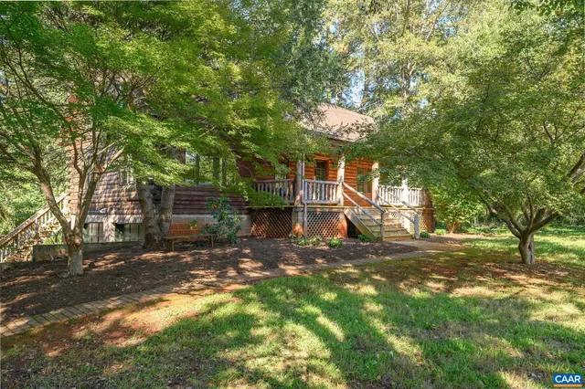 a view of a yard with plants and large trees