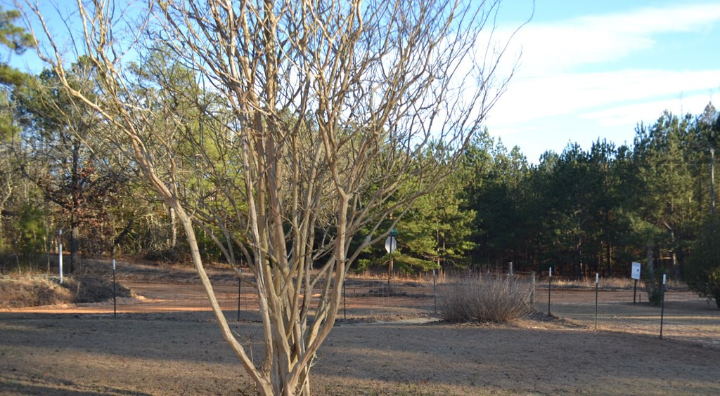 3969 Rabun Road Thomson, GA 30824 - Photo 9 of 27