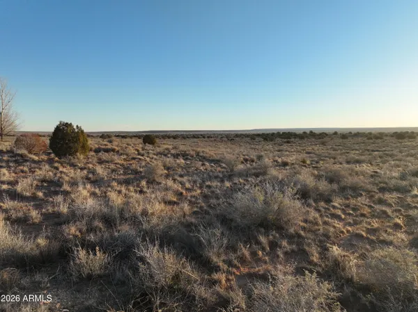 an aerial view of houses with trees
