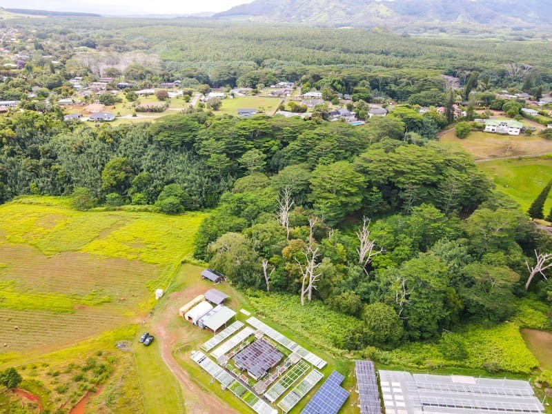 37 Omao Road Koloa, HI 96756 - Photo 13 of 29