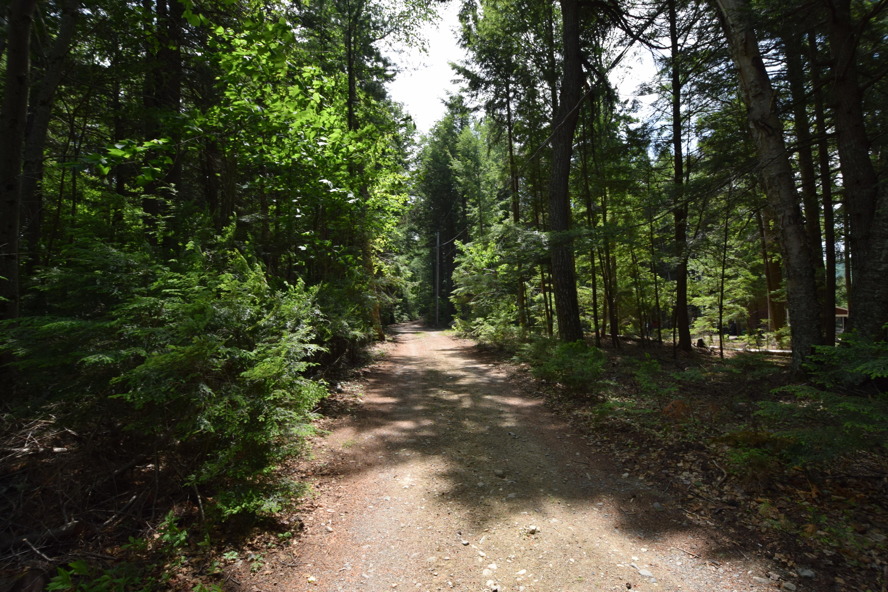 0 Chadwick Pt Road Weston, ME 04424 - Photo 16 of 20 Endless recreational trails...