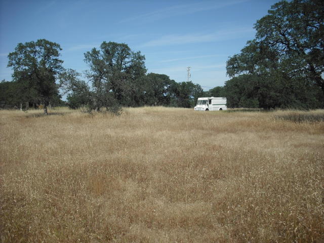 Jim Dandy Road Cottonwood, CA 96022 - Photo 1 of 3 a view of a field and trees