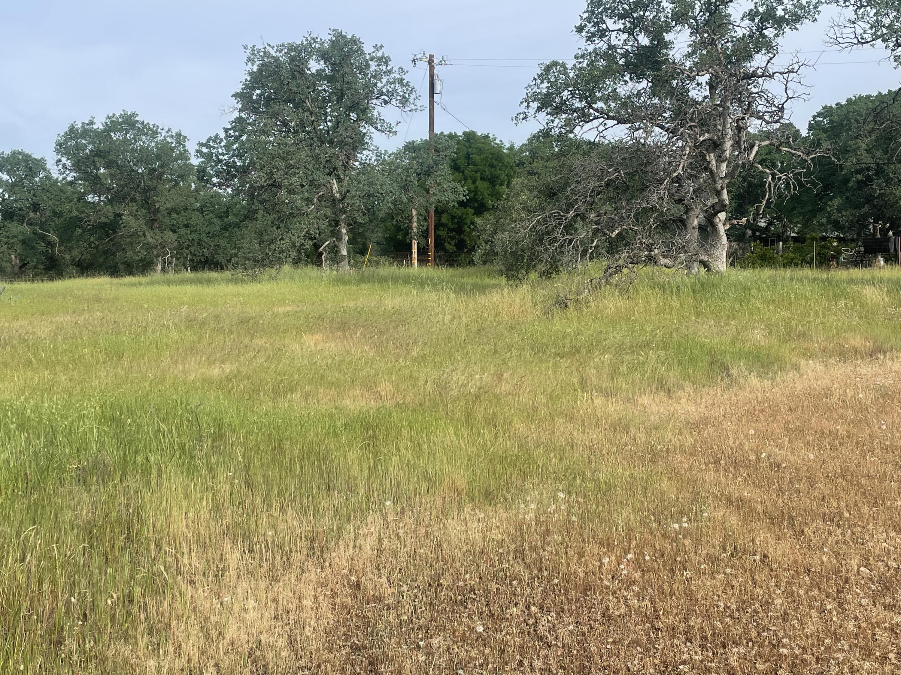Jim Dandy Road Cottonwood, CA 96022 - Photo 2 of 3 a view of a yard with a tree