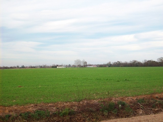 1778 Highway 21 Atmore, AL 36502 - Photo 5 of 6