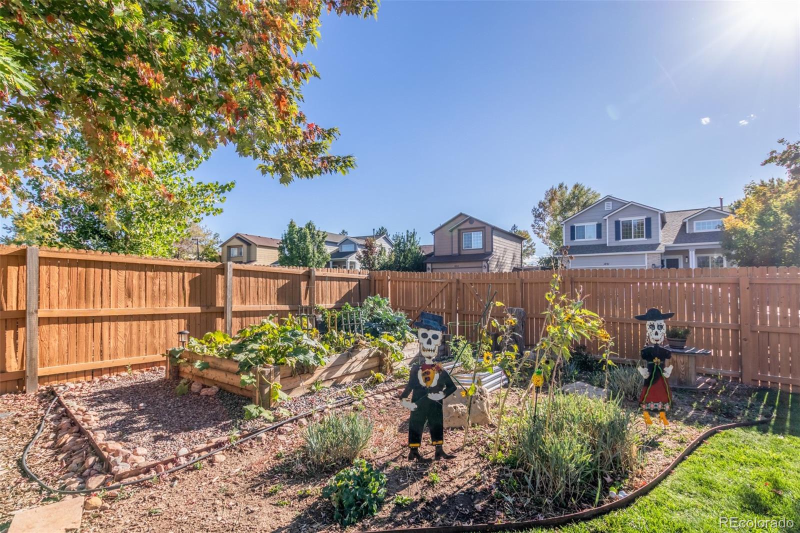 4864 Parsons Way Castle Rock, CO 80104 - Photo 35 of 50 a view of a backyard with plants