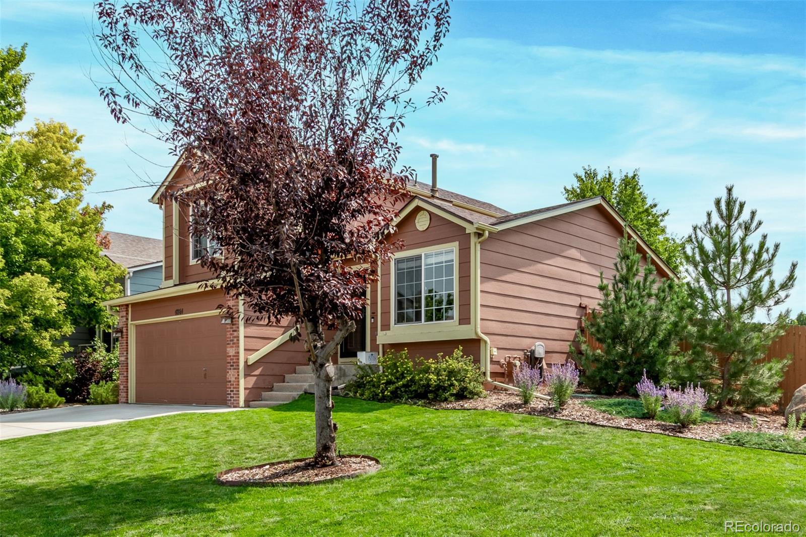 4864 Parsons Way Castle Rock, CO 80104 - Photo 43 of 50 a front view of house with yard and green space