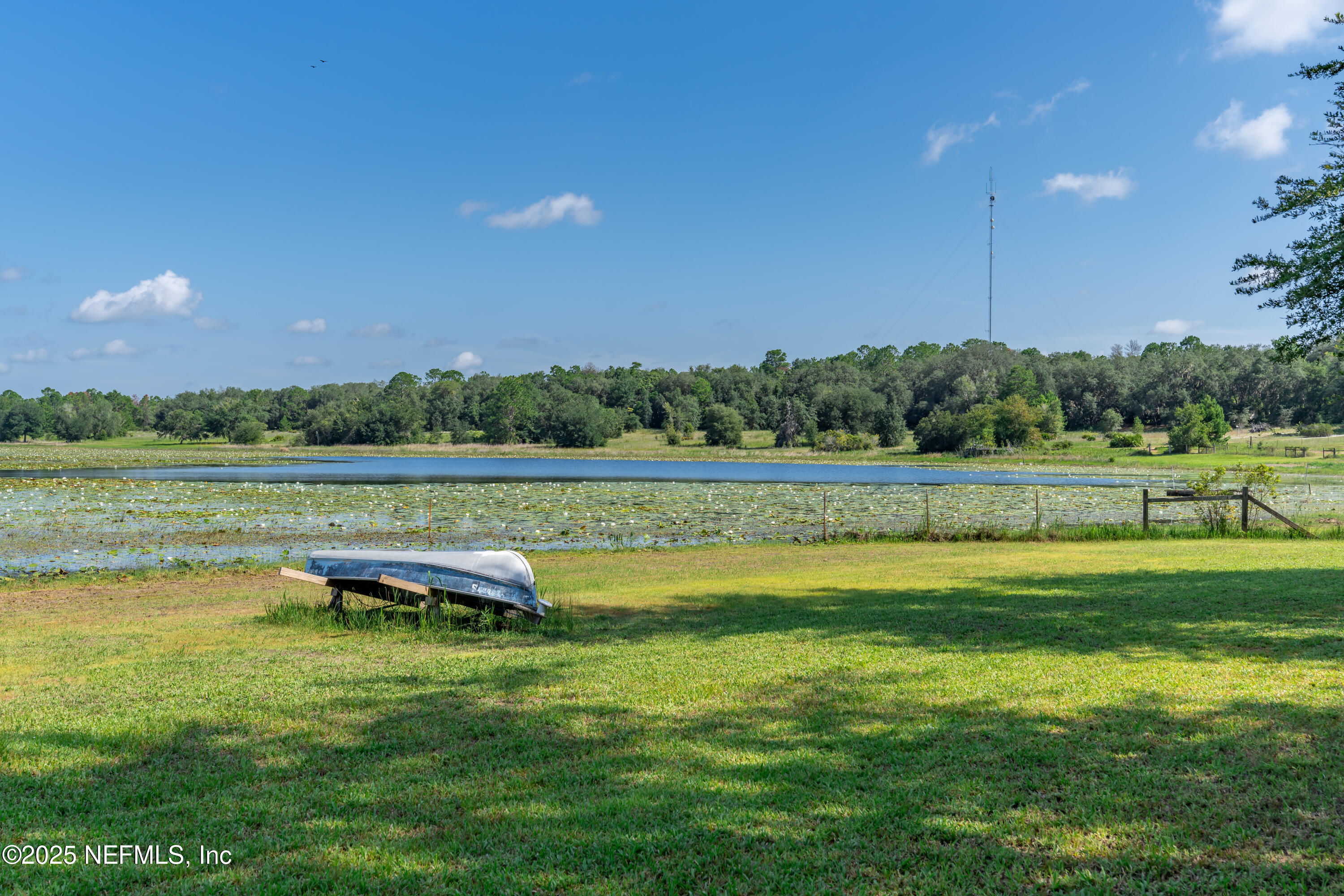 8048 County Line Road Melrose, FL 32666 - Photo 11 of 40 a view of a lake with a yard and palm trees