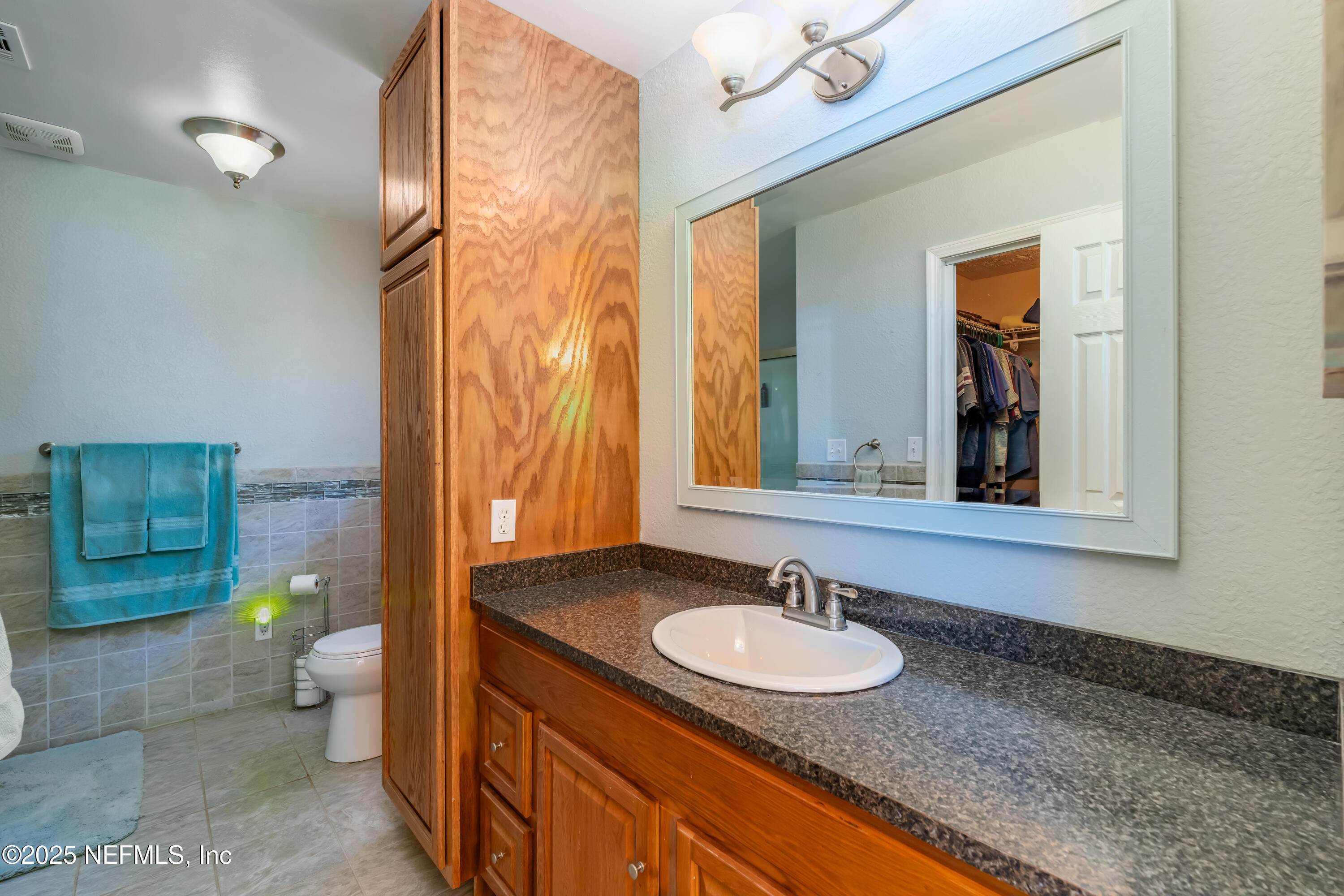 8048 County Line Road Melrose, FL 32666 - Photo 19 of 40 a bathroom with a sink and a mirror