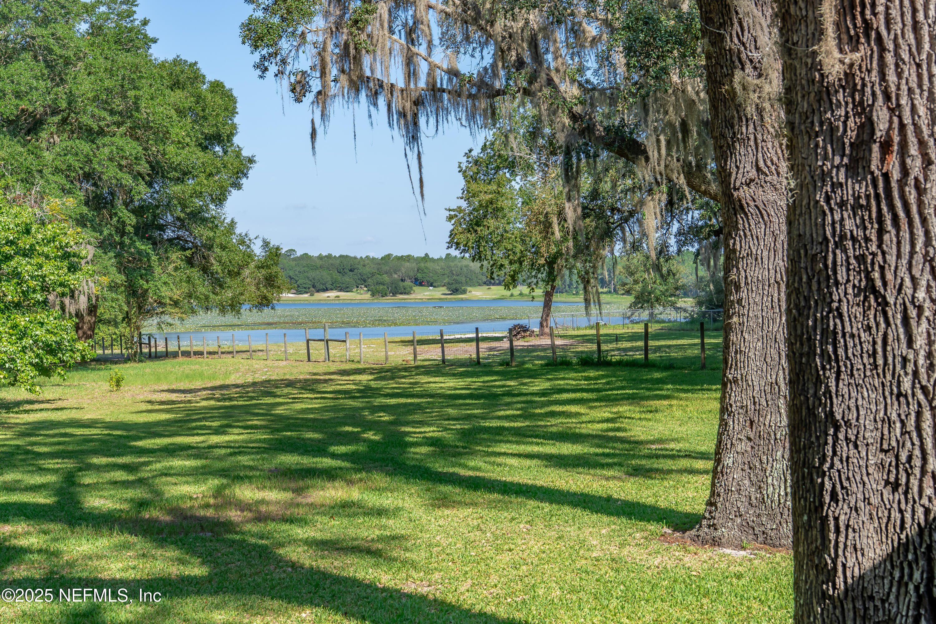 8048 County Line Road Melrose, FL 32666 - Photo 3 of 40 a view of a swimming pool with a big yard and large trees