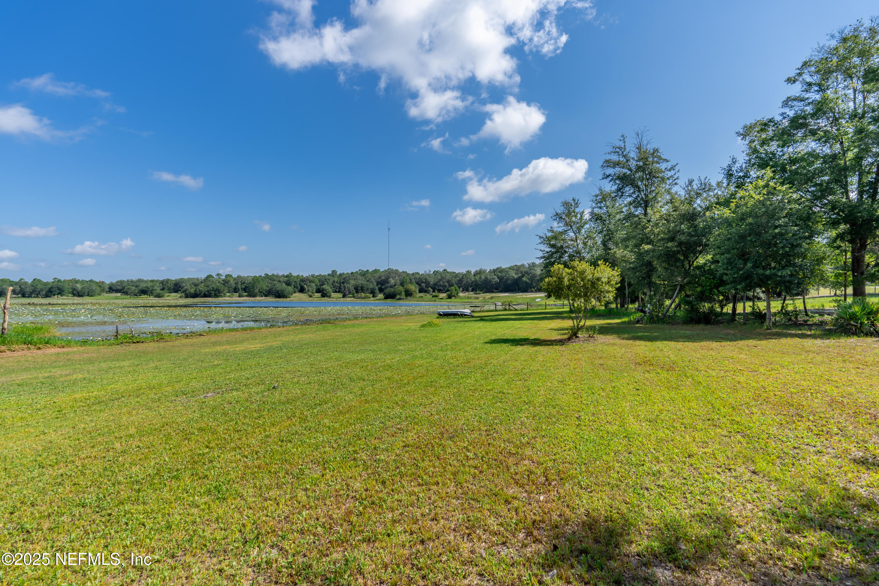 8048 County Line Road Melrose, FL 32666 - Photo 33 of 40 VIEW OF YARD