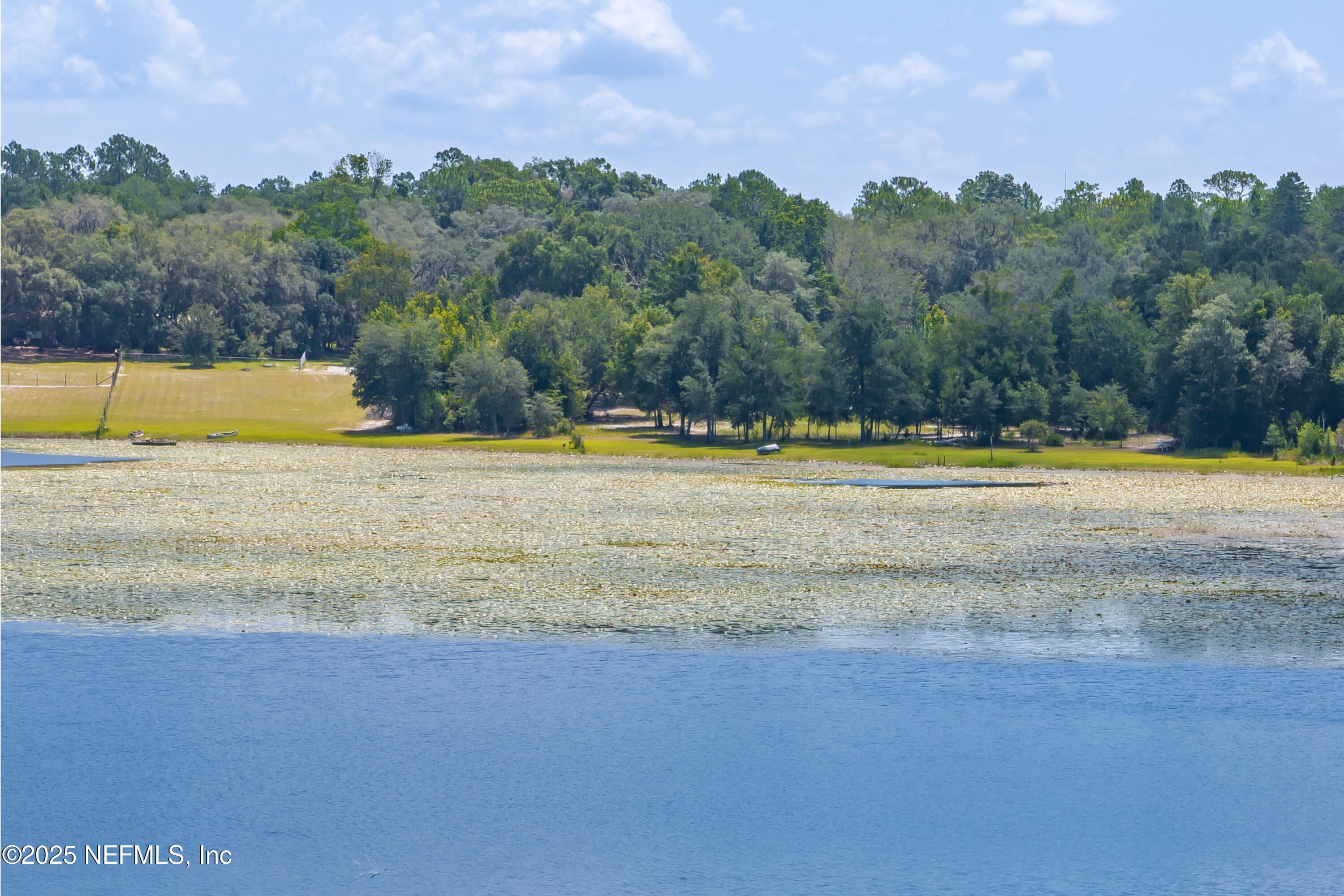8048 County Line Road Melrose, FL 32666 - Photo 39 of 40 a view of a swimming pool and a yard