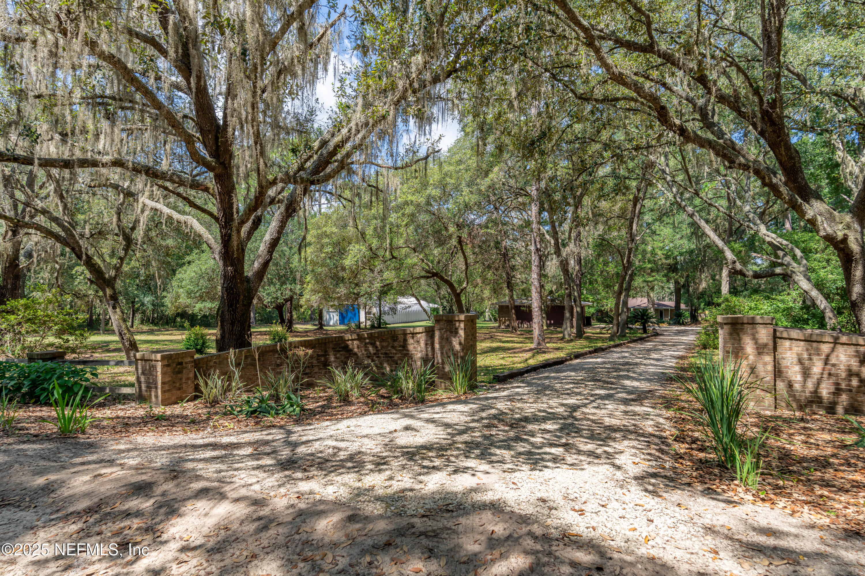 8048 County Line Road Melrose, FL 32666 - Photo 4 of 40 a view of a yard with a tree