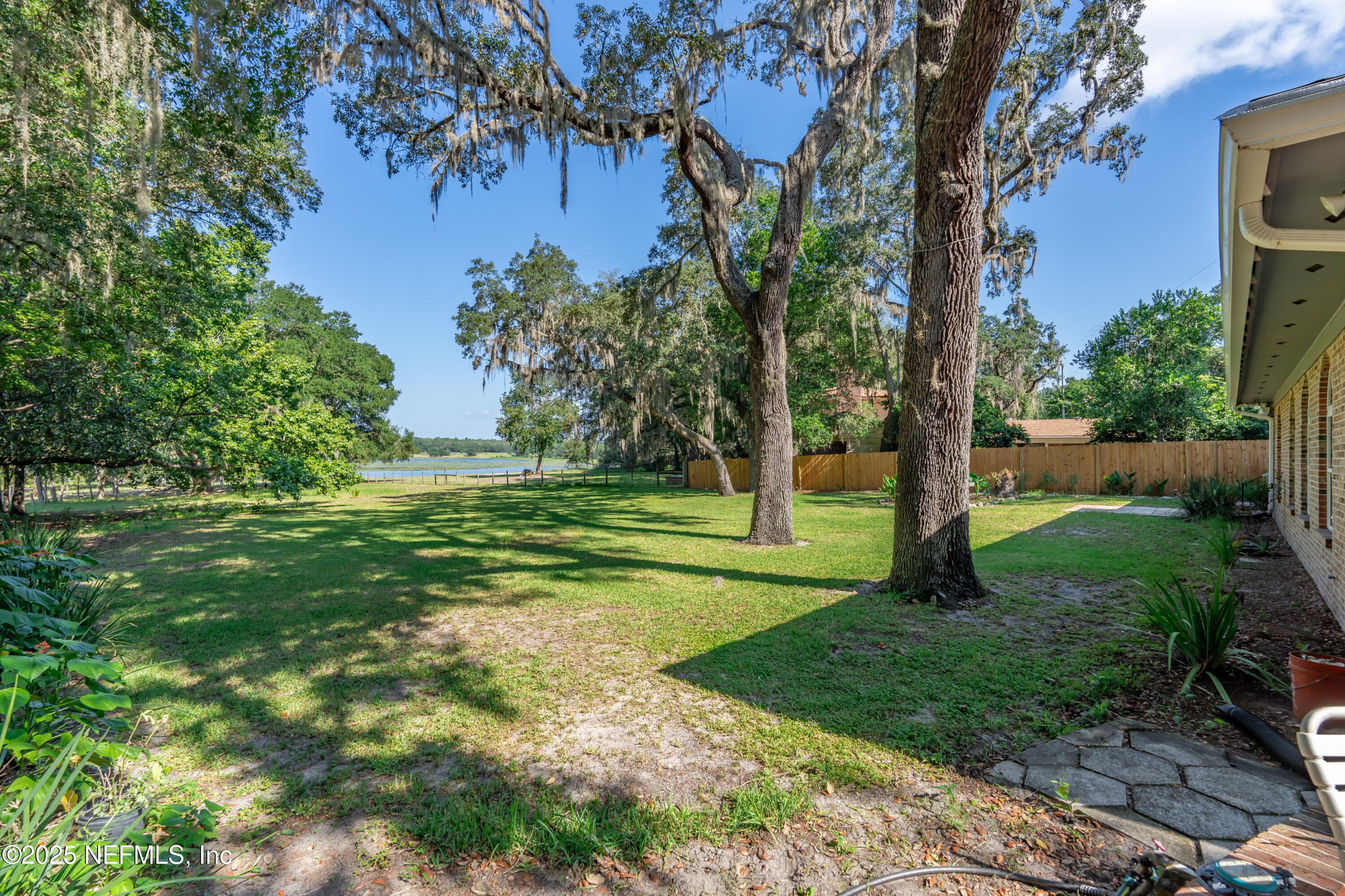 8048 County Line Road Melrose, FL 32666 - Photo 7 of 40 a view of a park with a tree