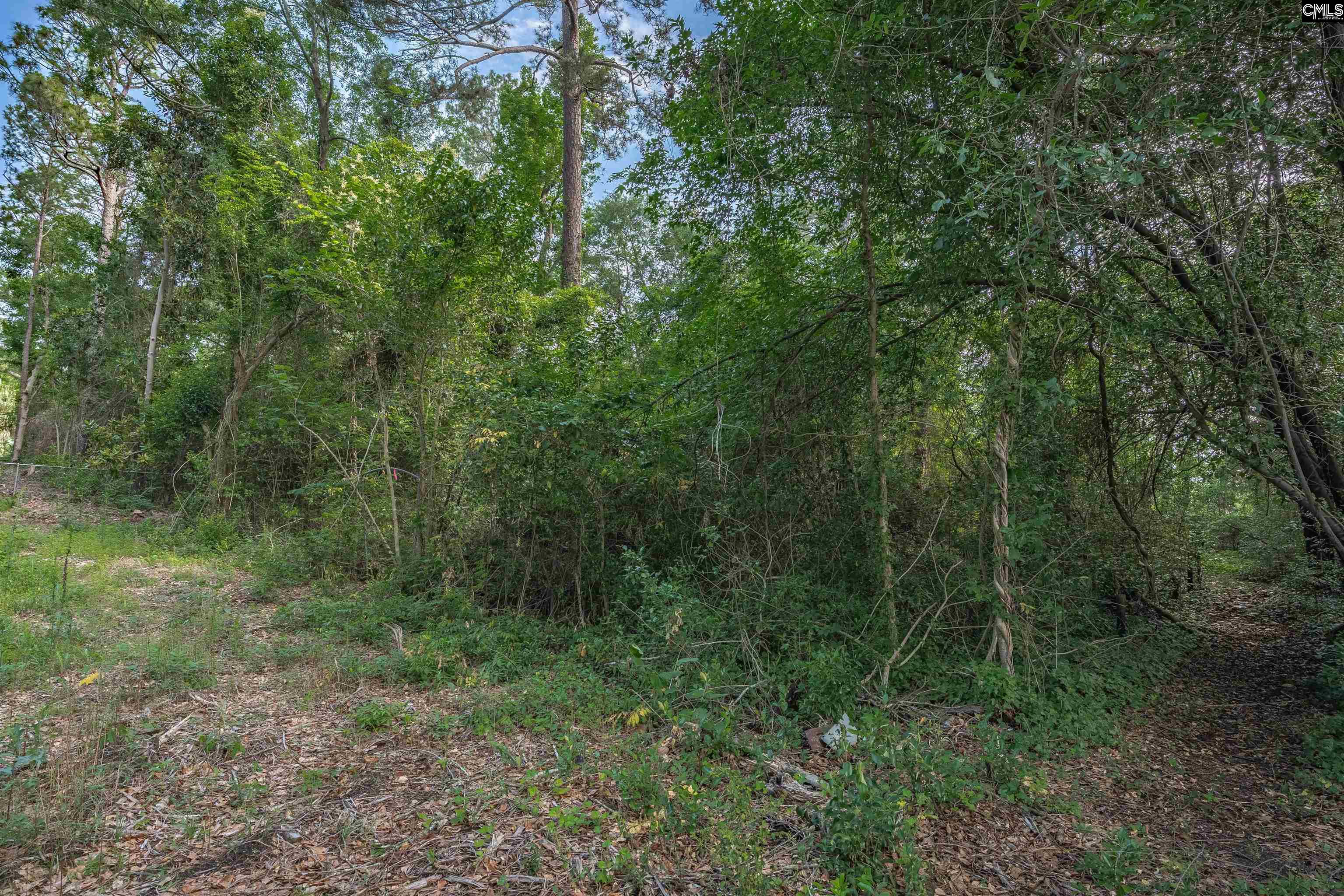 5318 Pinestraw Road Columbia, SC 29206 - Photo 46 of 52