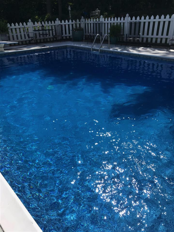 3609 Auburn Knightdale Road Raleigh, NC 27610 - Photo 27 of 27 Summer is coming. :)
