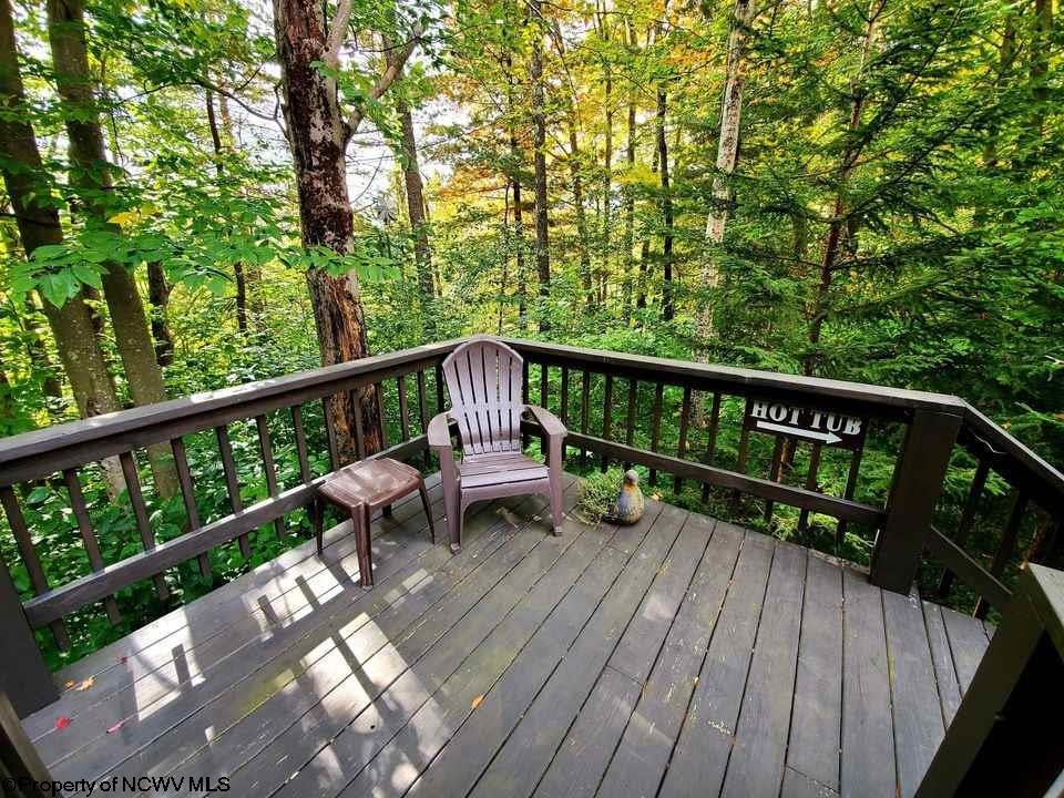 72 Lower Ln Road Davis, WV 26260 - Photo 19 of 27 Gallery Image 19