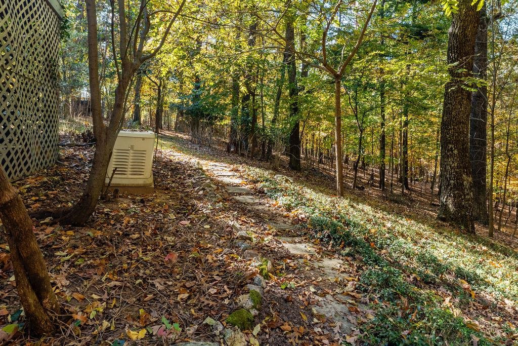 891 Union Church Road Churchville, VA 24421 - Photo 13 of 21 a backyard of a house with lots of green space