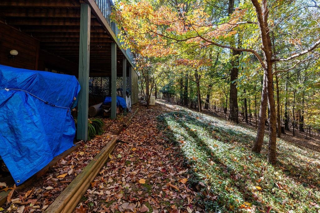 891 Union Church Road Churchville, VA 24421 - Photo 14 of 21 a view of a back yard of the house