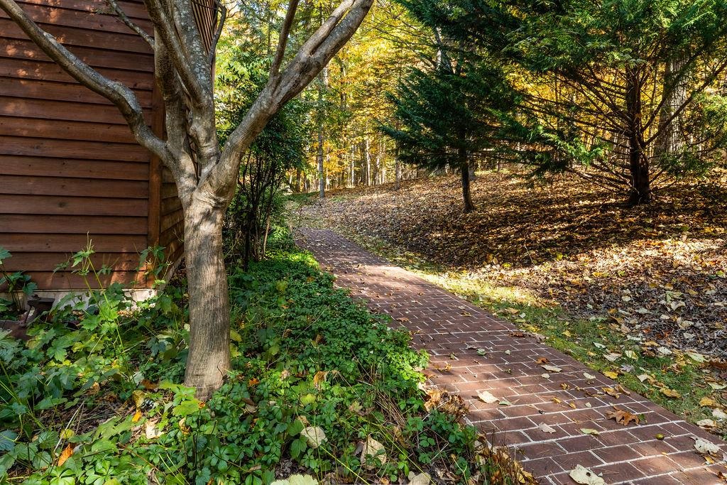 891 Union Church Road Churchville, VA 24421 - Photo 6 of 21 a view of a yard with plants and large trees