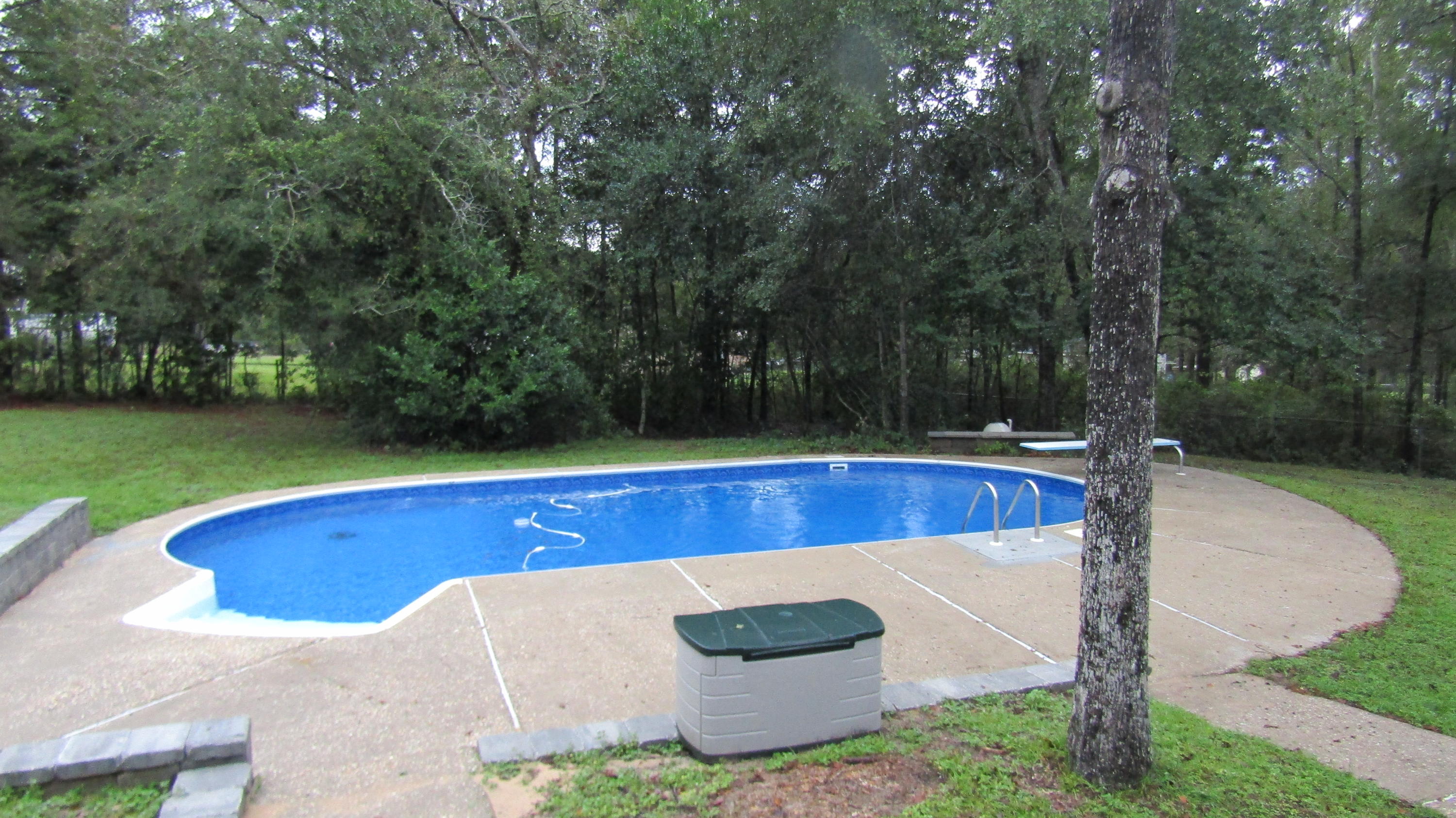 6130 Beasley Road Crestview, FL 32536 - Photo 20 of 28 a view of swimming pool with a yard