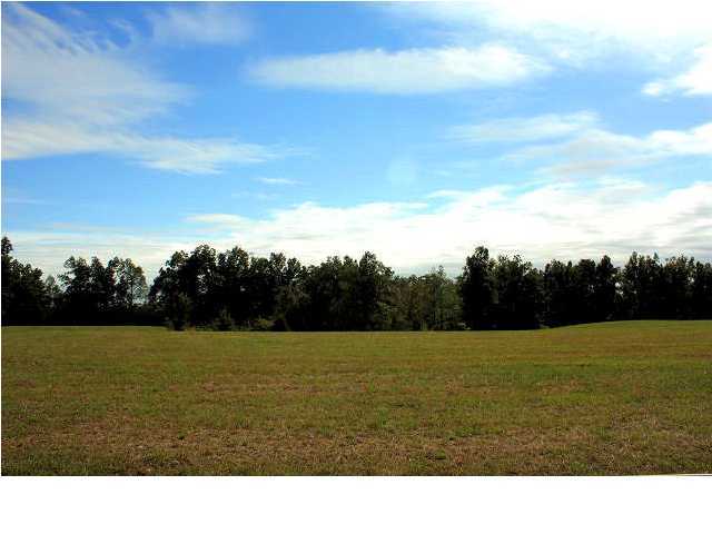 6801 Sadler Road Leitchfield, KY 42754 - Photo 25 of 25 Additional Photo