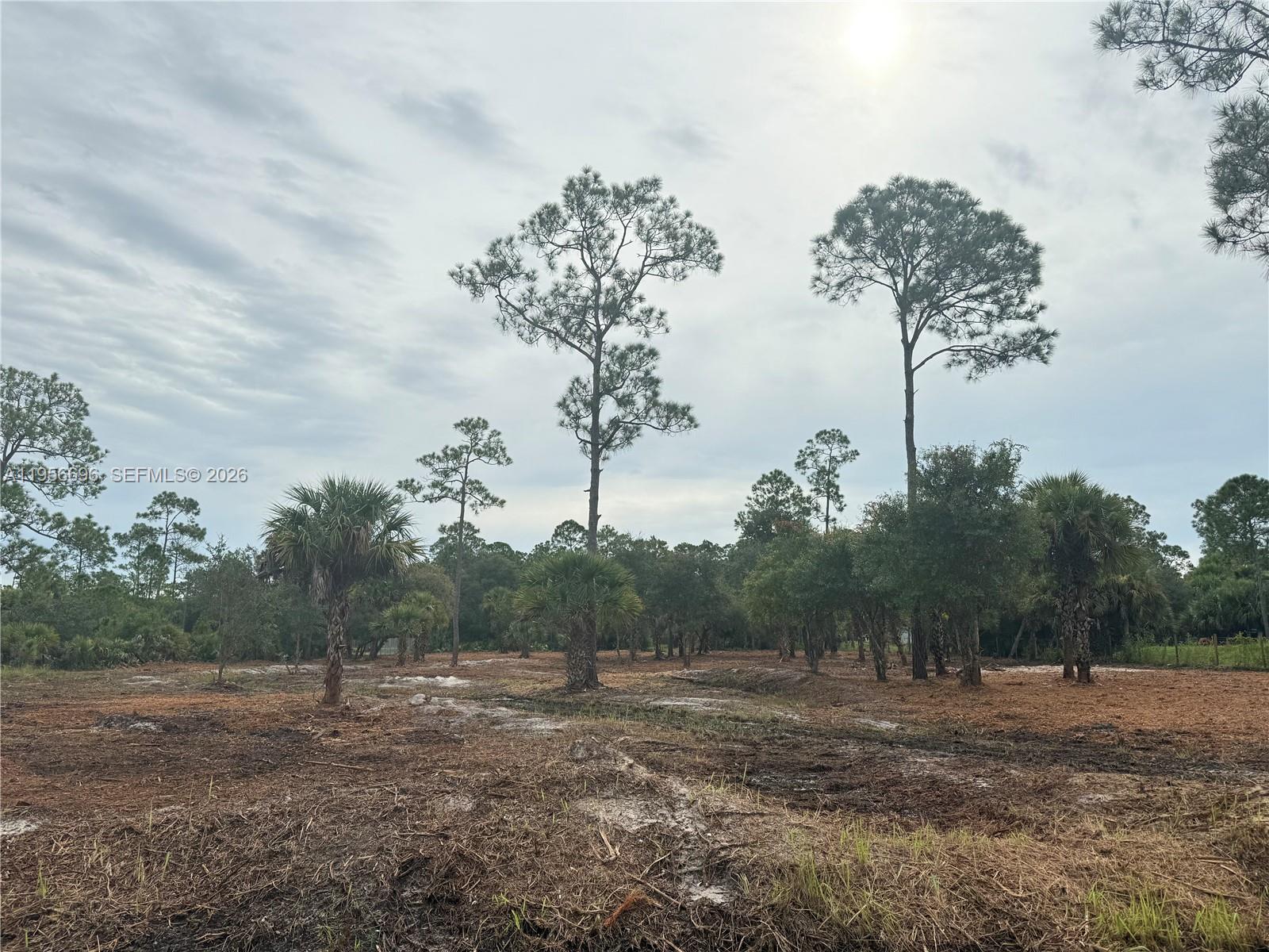 565 South Datil Street Clewiston, FL 33440 - Photo 2 of 8