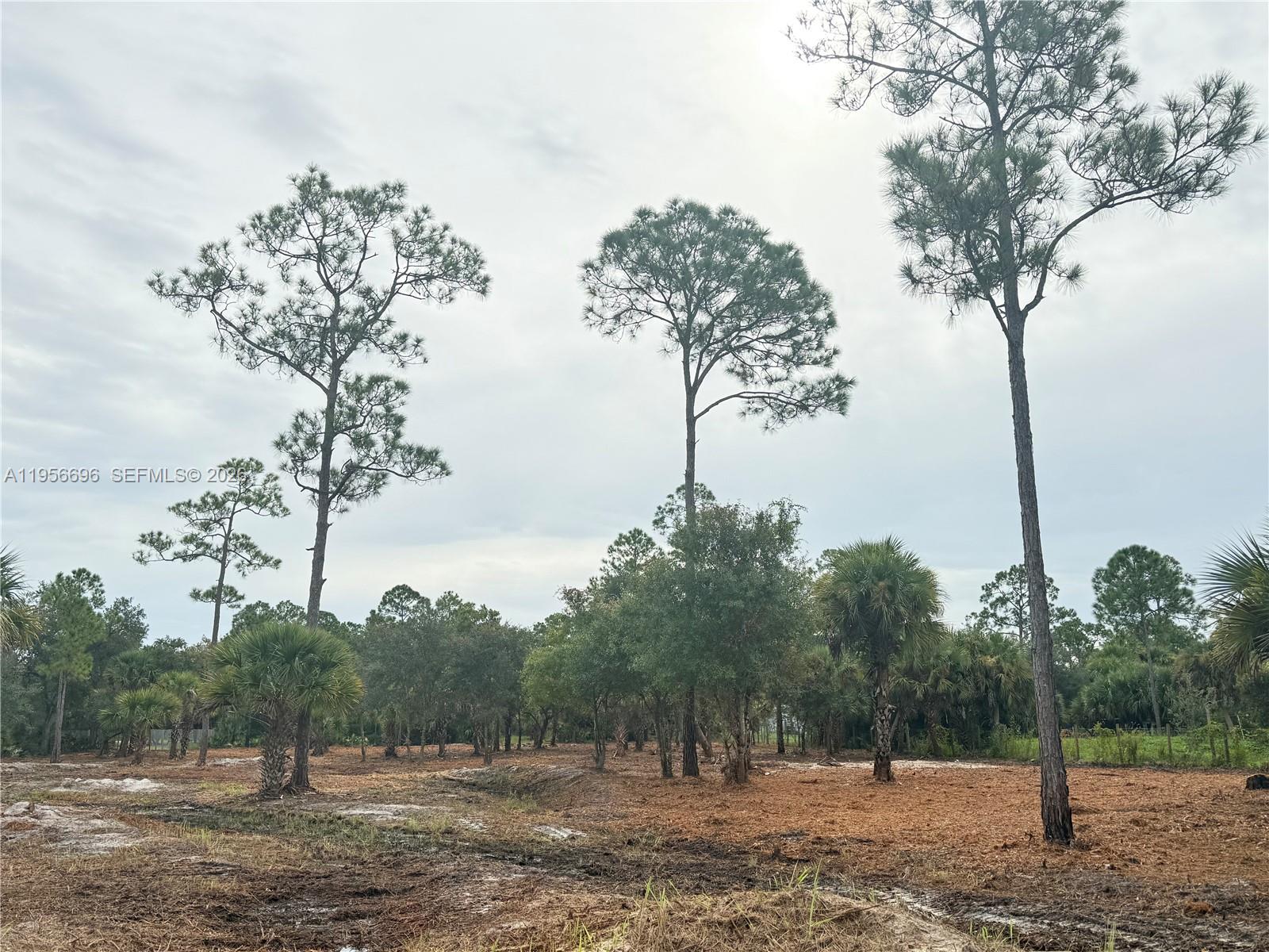 565 South Datil Street Clewiston, FL 33440 - Photo 3 of 8