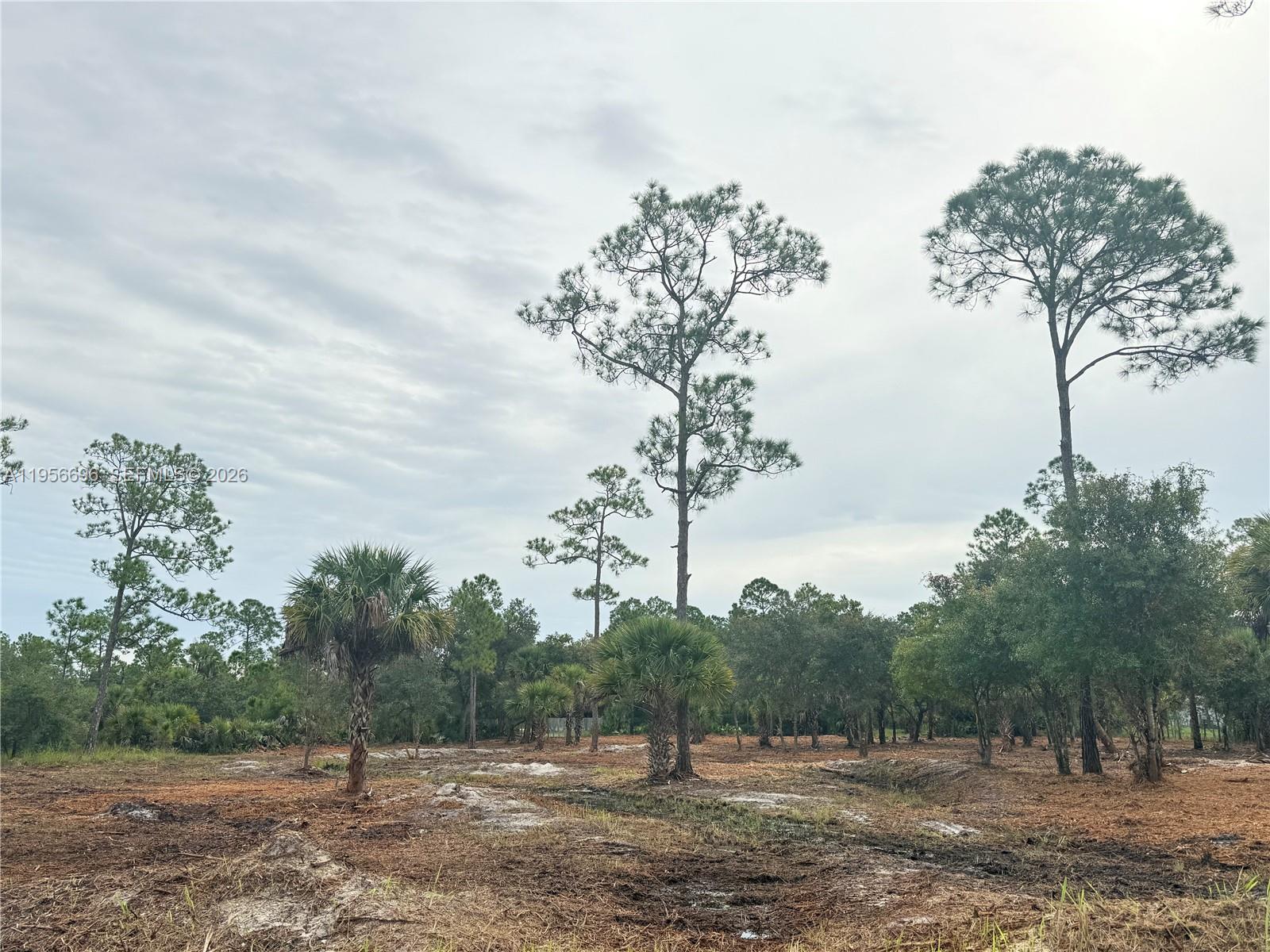 565 South Datil Street Clewiston, FL 33440 - Photo 4 of 8