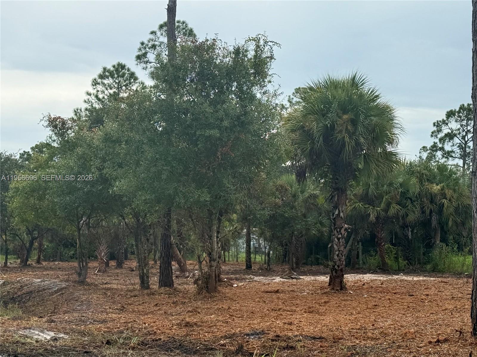 565 South Datil Street Clewiston, FL 33440 - Photo 6 of 8