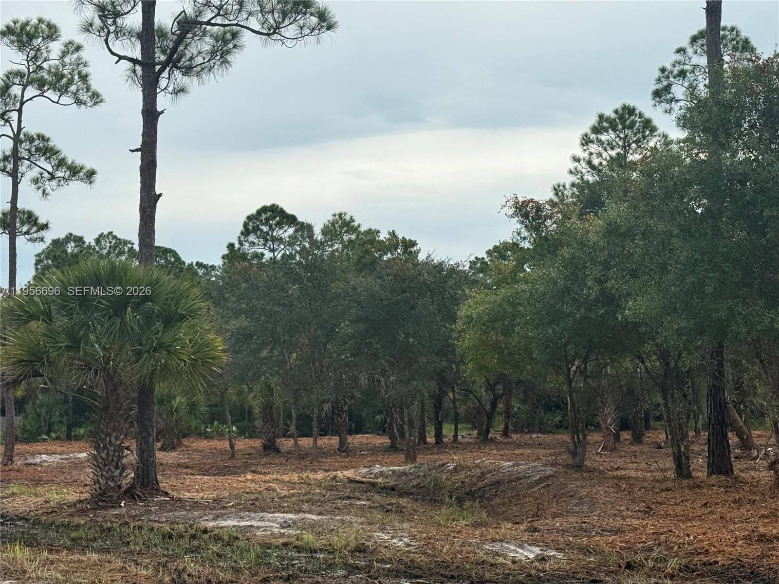 565 South Datil Street Clewiston, FL 33440 - Photo 7 of 8