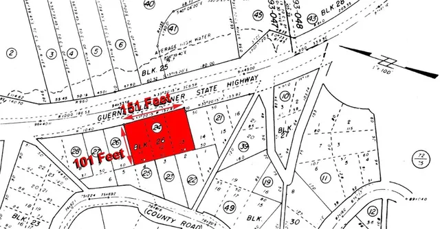 a view of a yard with plants and large trees