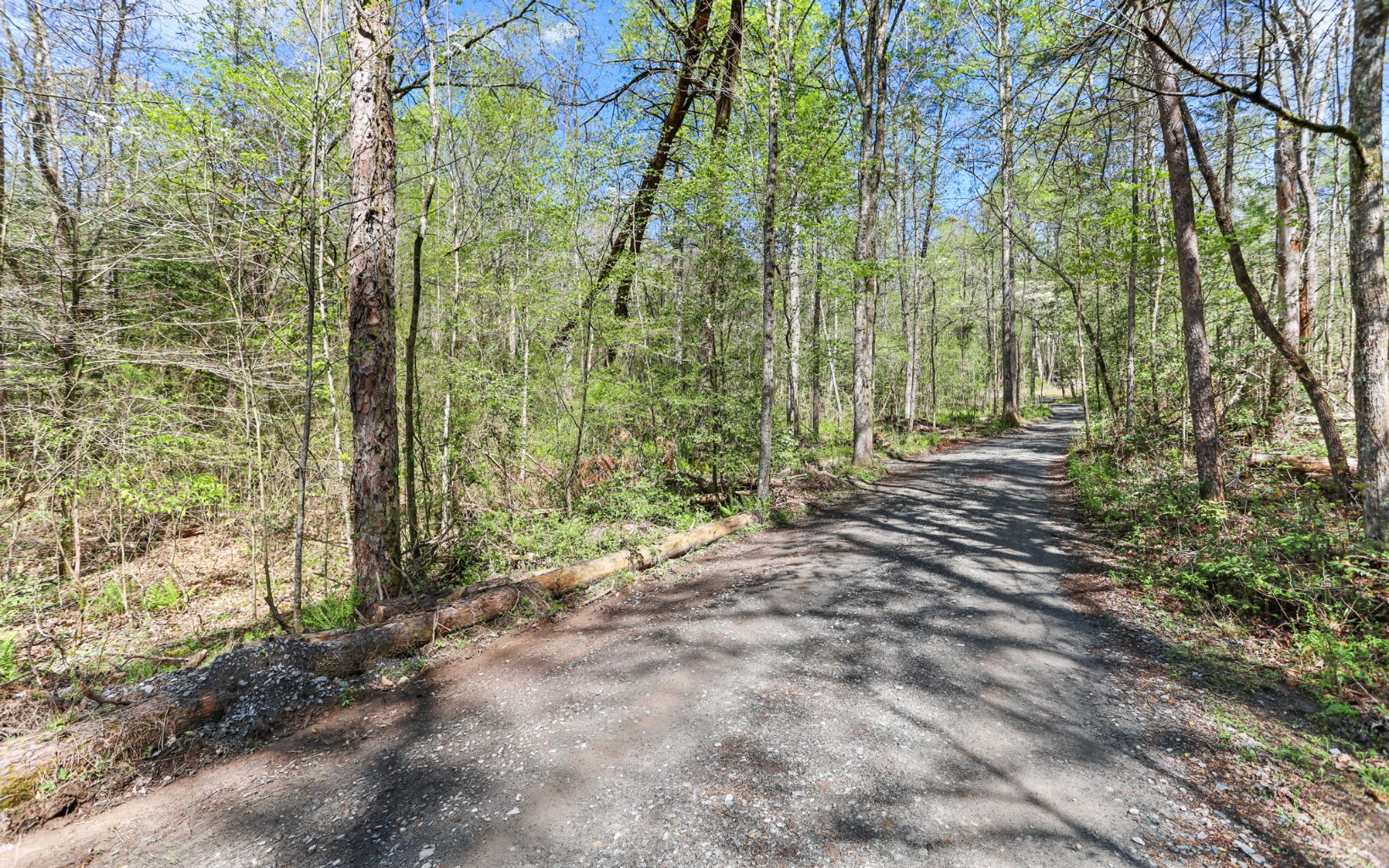 Hurley Lane Blue Ridge, GA 30513 - Photo 5 of 13 Additional View