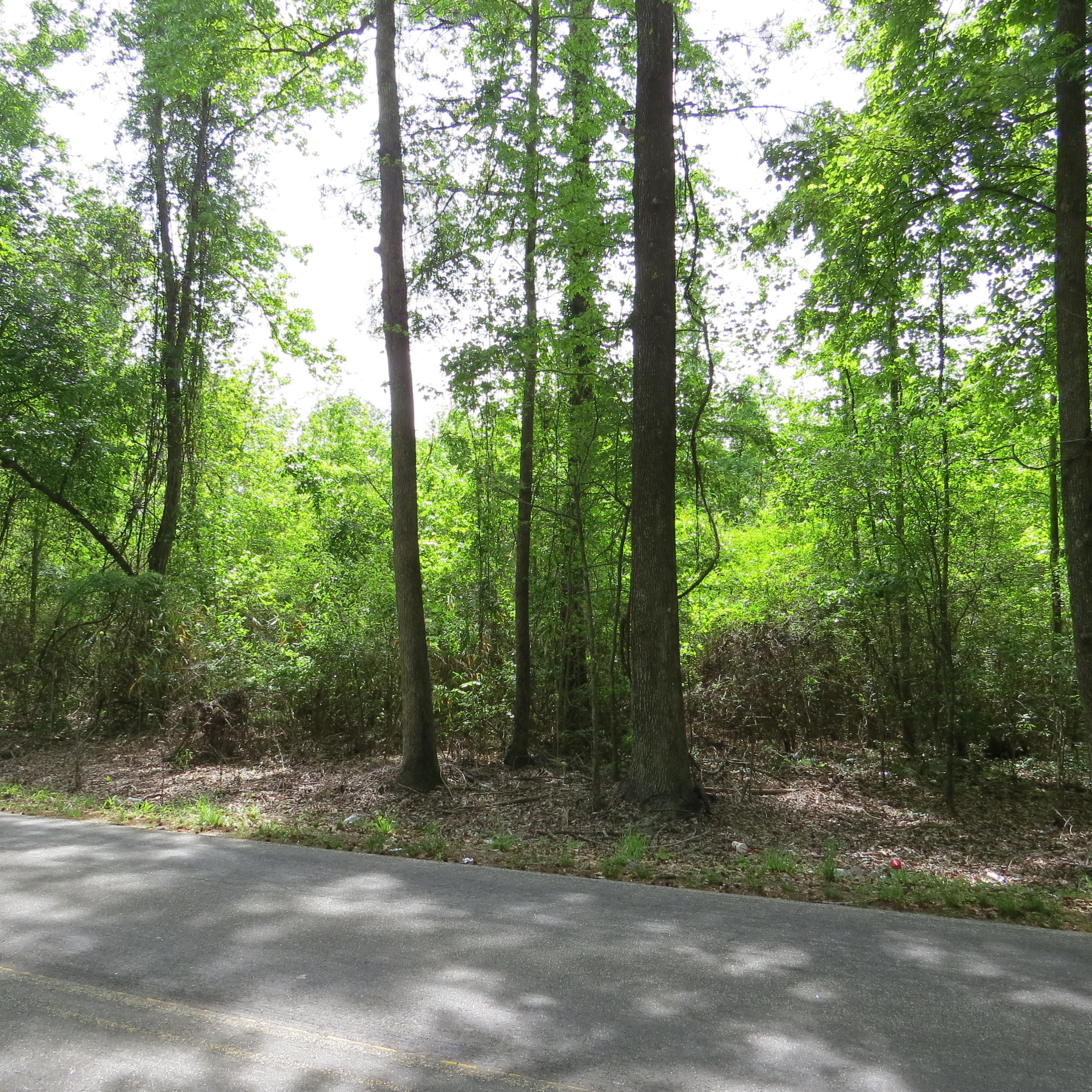 8936 Old Jacksonboro Road Adams Run, SC 29426 - Photo 2 of 5 IMG_0263 (1)