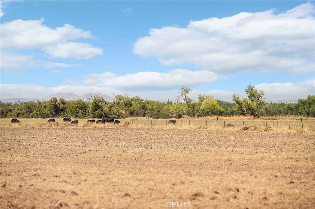 22590 Rodeo Avenue Gerber, CA 96035 - Photo 7 of 26