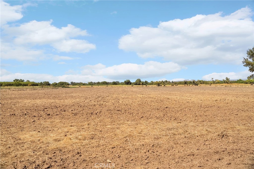 22590 Rodeo Avenue Gerber, CA 96035 - Photo 9 of 26