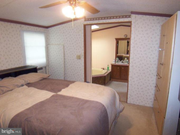 4305 Ridge Drive Mount Airy, MD 21771 - Photo 8 of 12 Master Bedroom