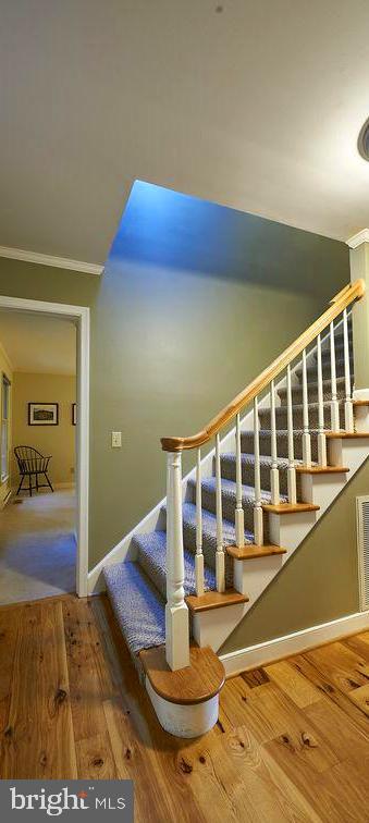 7343 Bozman Neavitt Road Bozman, MD 21612 - Photo 18 of 24 Stairs to second floor/ beautiful hardwood floors