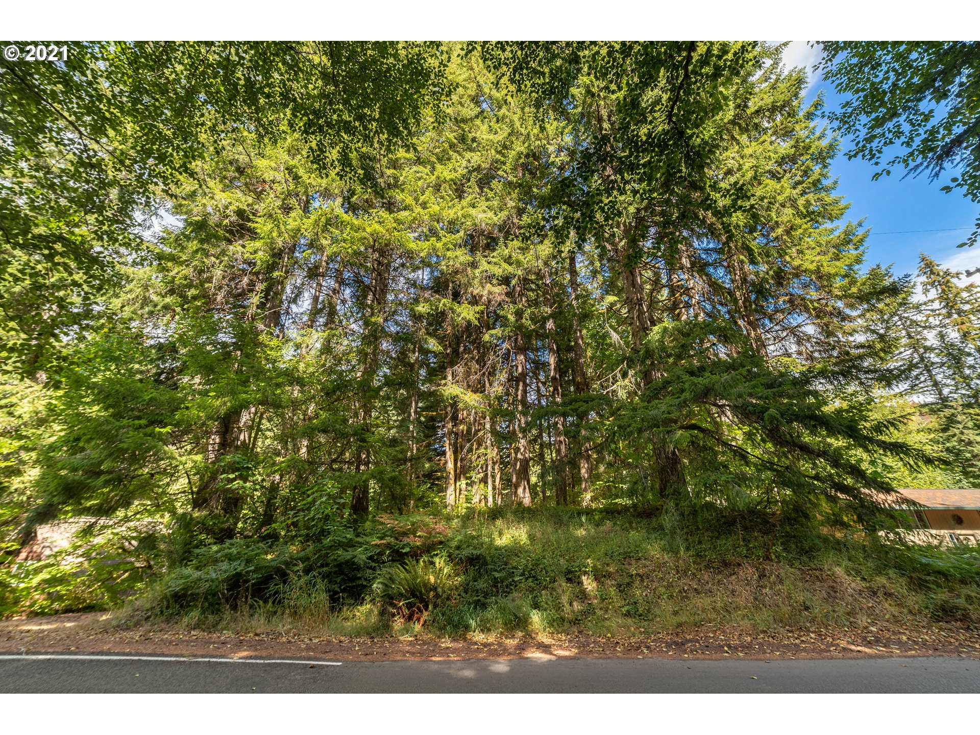71501 Fishhawk Road Birkenfeld, OR 97016 - Photo 7 of 14