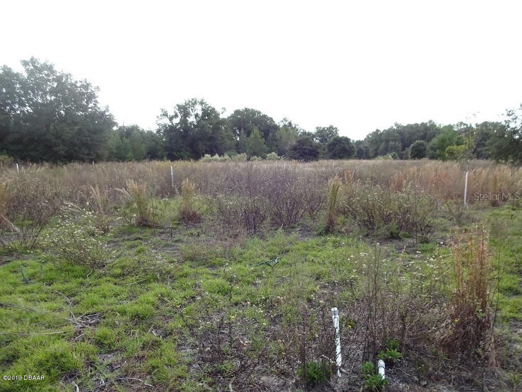 0 Harper Road Pierson, FL 32180 - Photo 16 of 17 561828_561828_16