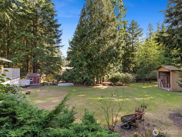 a view of a house with a yard and a large tree