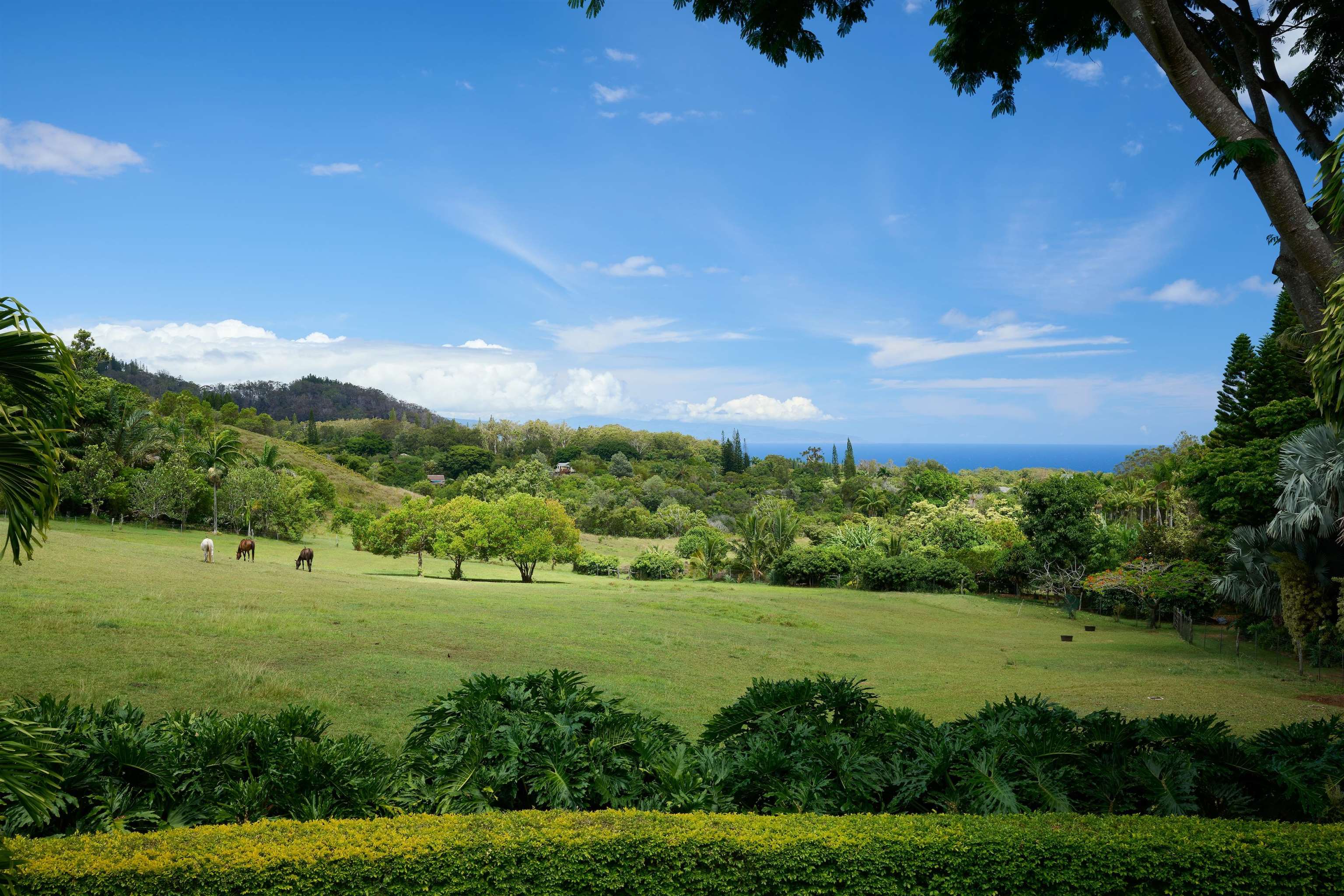 1642 West Kuiaha Road Haiku, HI 96708 - Photo 36 of 50