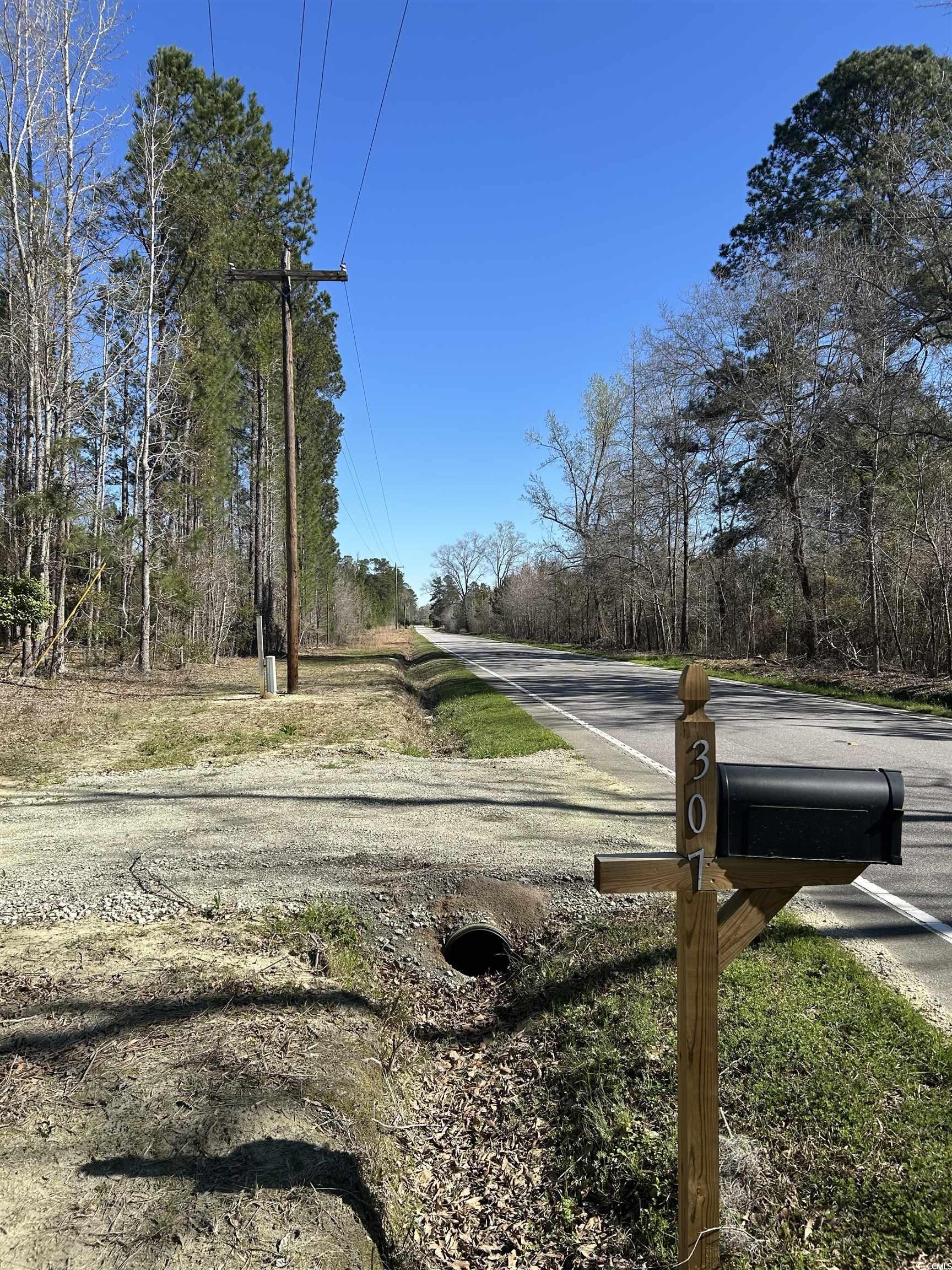 307 Suttons Road Andrews, SC 29510 - Photo 2 of 8 View of road