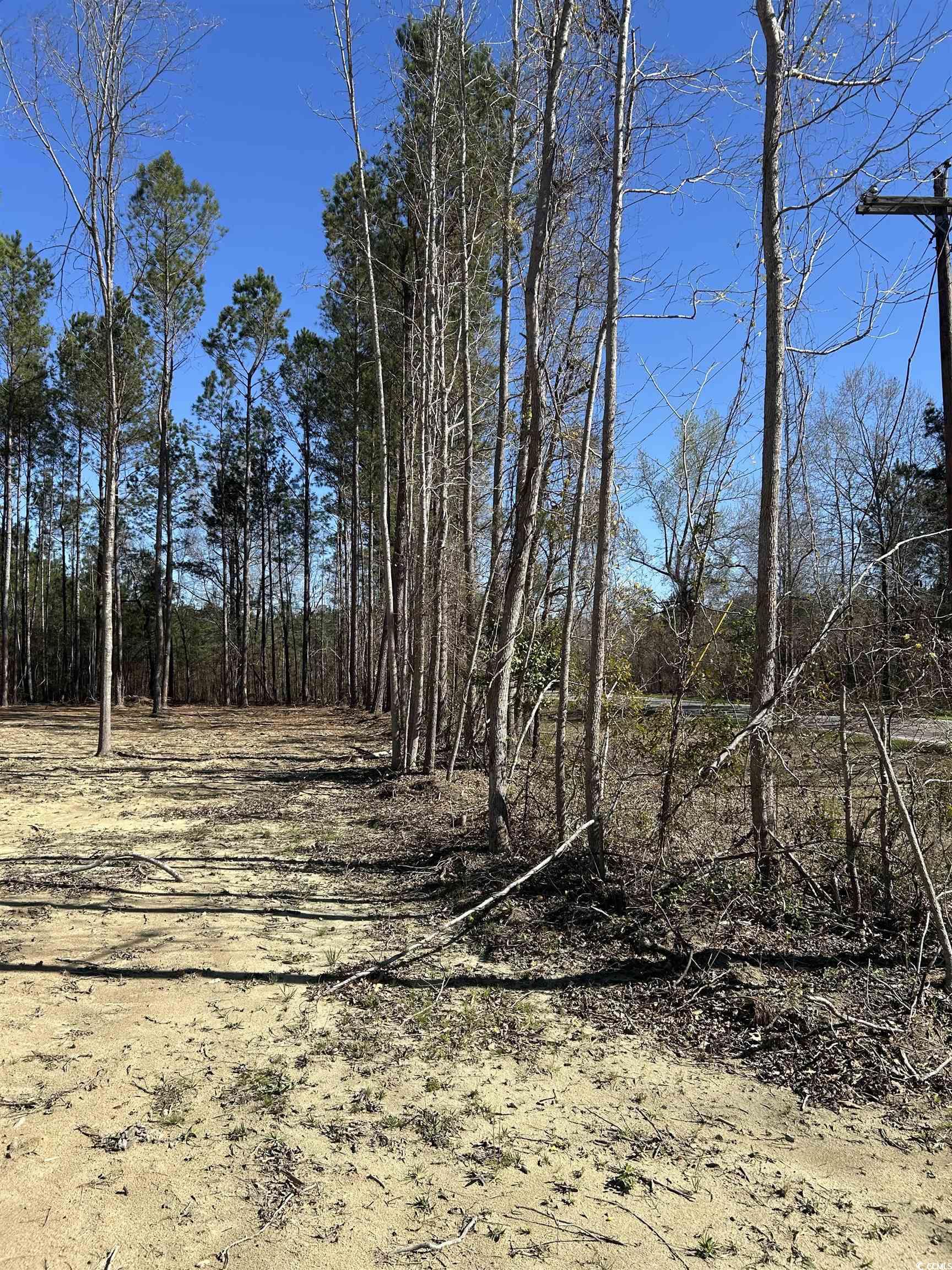 307 Suttons Road Andrews, SC 29510 - Photo 3 of 8 View of landscape