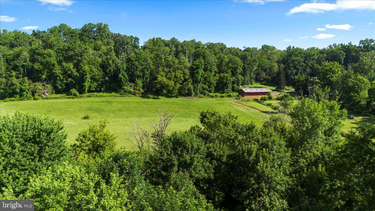 270 Rocksville Road Southampton, PA 18966 - Photo 10 of 15 a view of a lush green space