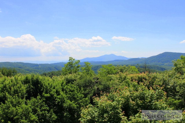 466 Scene-A-Rama Drive Boone, NC 28607 - Photo 10 of 17 Gallery Image 10